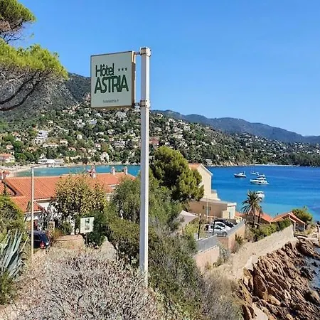 Charming In Lavandou Walking Distance To * Le Lavandou