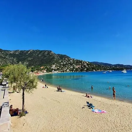 Charming In Lavandou Walking Distance To