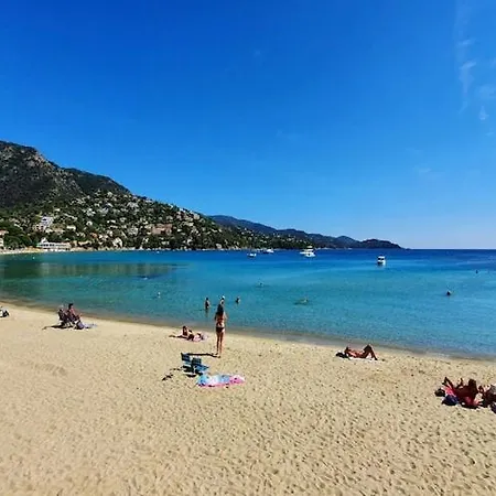 Charming In Lavandou Walking Distance To Holiday home Le Lavandou