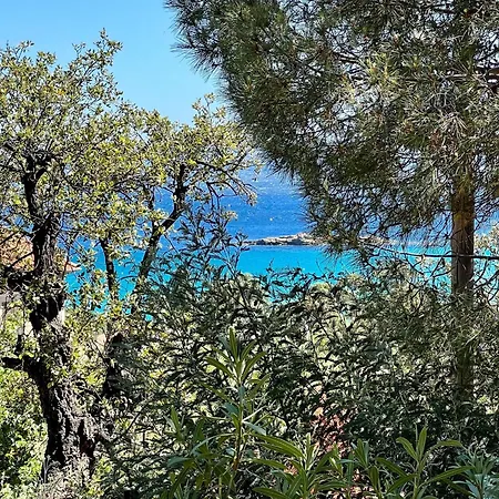 Charming In Lavandou Walking Distance To Le Lavandou