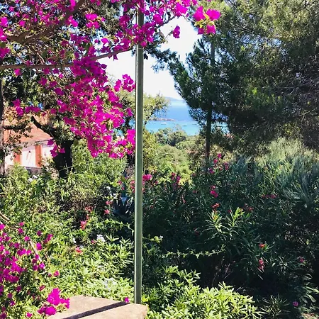 Holiday home Charming In Lavandou Walking Distance To Le Lavandou