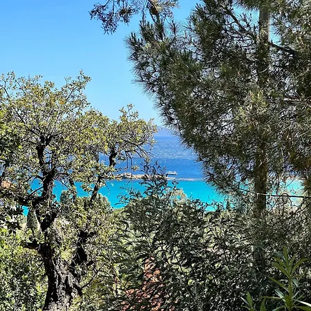 Charming In Lavandou Walking Distance To *