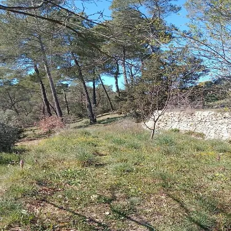 Charming In Lavandou Walking Distance To Holiday home *