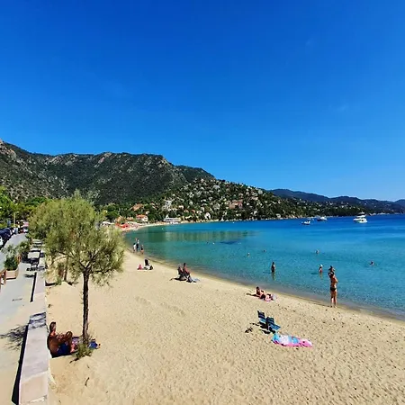 Charming In Lavandou Walking Distance To Holiday home *